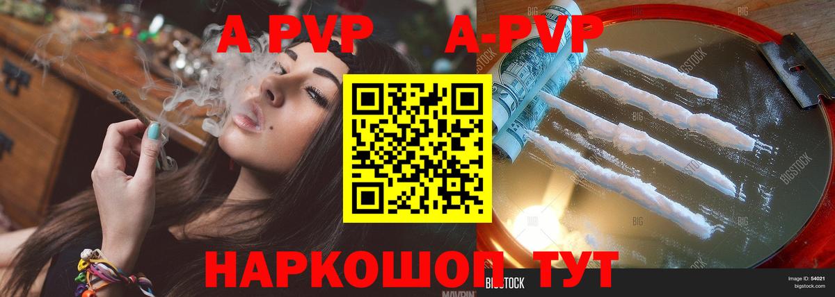 A PVP СК Элиста