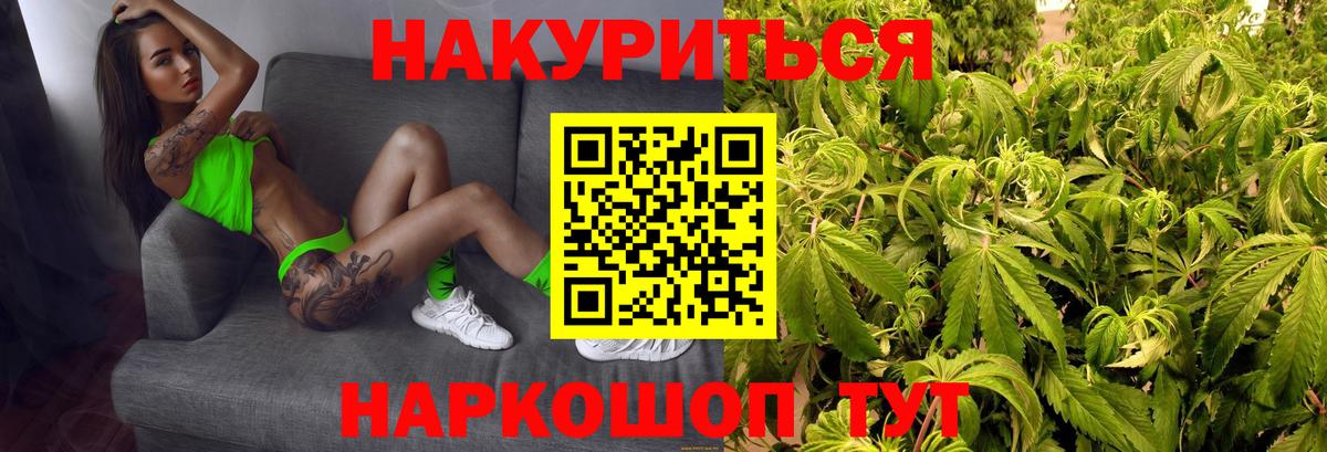 Бошки марихуана тримм  Конопля планчик  Элиста  Бошки марихуана гибрид  Вход с VPN  Бошки марихуана марихуана 
